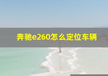 奔驰e260怎么定位车辆