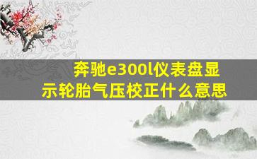 奔驰e300l仪表盘显示轮胎气压校正什么意思