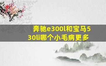 奔驰e300l和宝马530li哪个小毛病更多