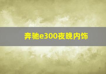 奔驰e300夜晚内饰