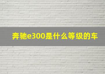 奔驰e300是什么等级的车