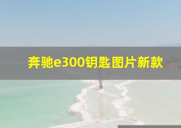 奔驰e300钥匙图片新款