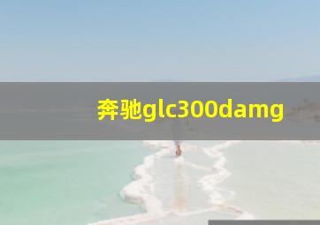 奔驰glc300damg