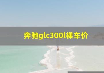 奔驰glc300l裸车价