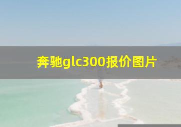 奔驰glc300报价图片