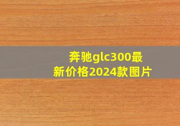 奔驰glc300最新价格2024款图片