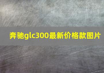 奔驰glc300最新价格款图片