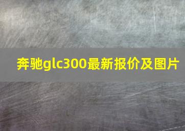 奔驰glc300最新报价及图片