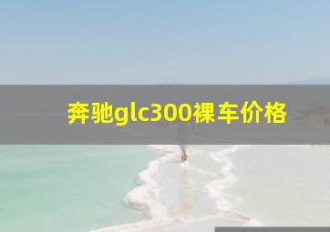 奔驰glc300裸车价格