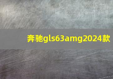 奔驰gls63amg2024款