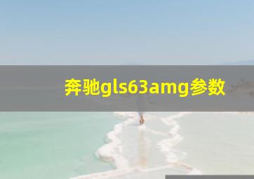 奔驰gls63amg参数