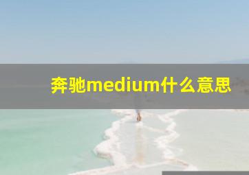 奔驰medium什么意思