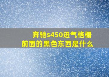 奔驰s450进气格栅前面的黑色东西是什么