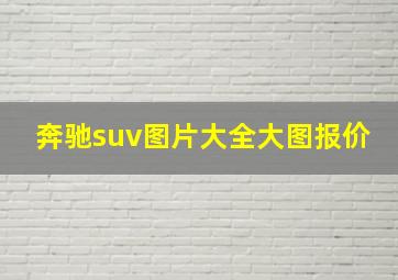 奔驰suv图片大全大图报价