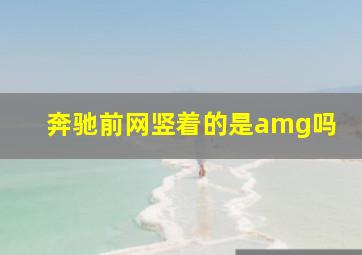 奔驰前网竖着的是amg吗