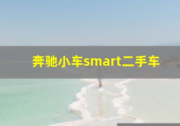 奔驰小车smart二手车