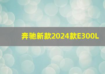 奔驰新款2024款E300L