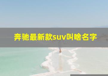 奔驰最新款suv叫啥名字