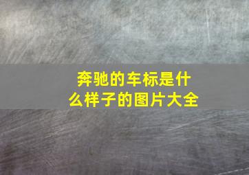 奔驰的车标是什么样子的图片大全