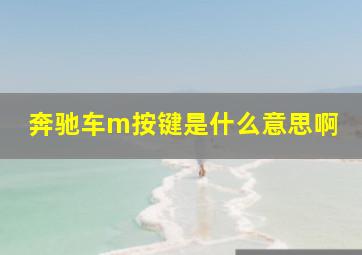 奔驰车m按键是什么意思啊