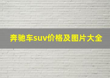 奔驰车suv价格及图片大全