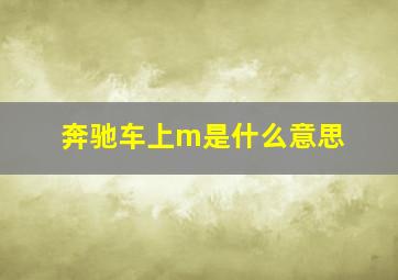 奔驰车上m是什么意思