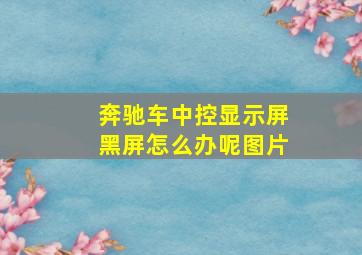 奔驰车中控显示屏黑屏怎么办呢图片