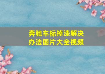 奔驰车标掉漆解决办法图片大全视频