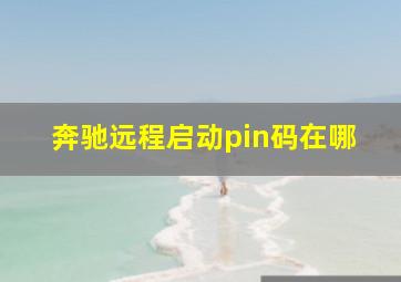 奔驰远程启动pin码在哪