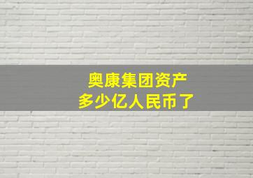 奥康集团资产多少亿人民币了