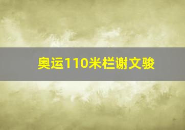 奥运110米栏谢文骏