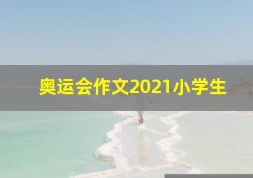 奥运会作文2021小学生