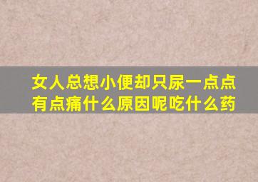 女人总想小便却只尿一点点有点痛什么原因呢吃什么药