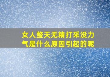 女人整天无精打采没力气是什么原因引起的呢