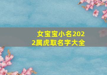 女宝宝小名2022属虎取名字大全