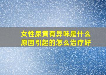 女性尿黄有异味是什么原因引起的怎么治疗好