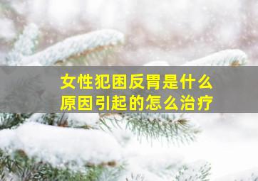 女性犯困反胃是什么原因引起的怎么治疗