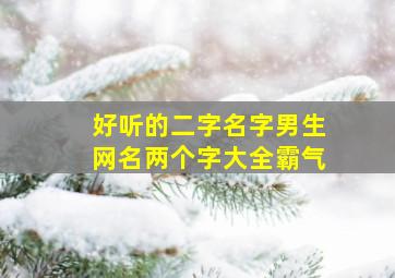 好听的二字名字男生网名两个字大全霸气