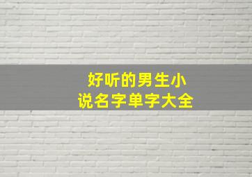 好听的男生小说名字单字大全