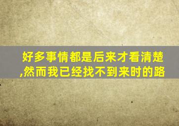 好多事情都是后来才看清楚,然而我已经找不到来时的路