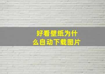 好看壁纸为什么自动下载图片