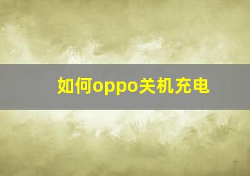 如何oppo关机充电