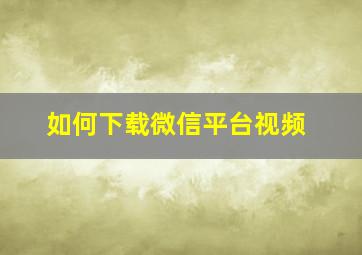 如何下载微信平台视频