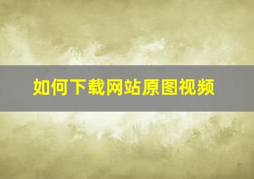 如何下载网站原图视频