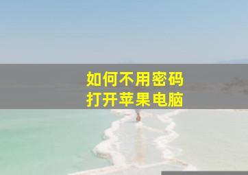 如何不用密码打开苹果电脑