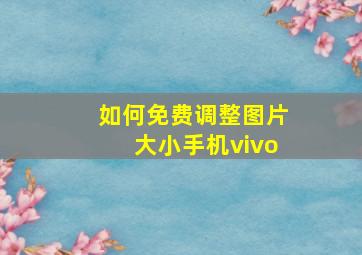 如何免费调整图片大小手机vivo