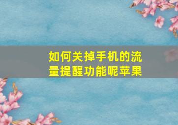 如何关掉手机的流量提醒功能呢苹果