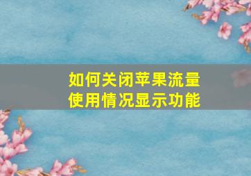 如何关闭苹果流量使用情况显示功能