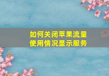 如何关闭苹果流量使用情况显示服务