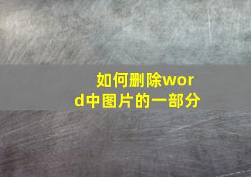 如何删除word中图片的一部分